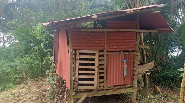 Beruang Serang Ternak Warga di Tanggamus, Polisi Imbau Waspada