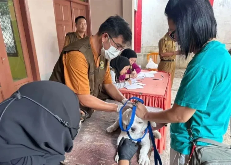 Stok Menipis, Pemkot Bandarlampung Ajukan Tambahan 1.600 Dosis Vaksin Anti Rabies ke Kemenkes